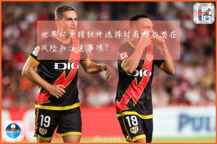世界杯竞猜软件选择时有哪些潜在风险和注意事项？