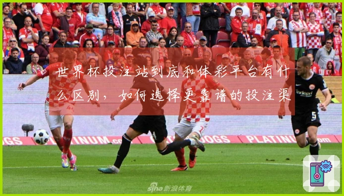 世界杯投注站到底和体彩平台有什么区别，如何选择更靠谱的投注渠道？