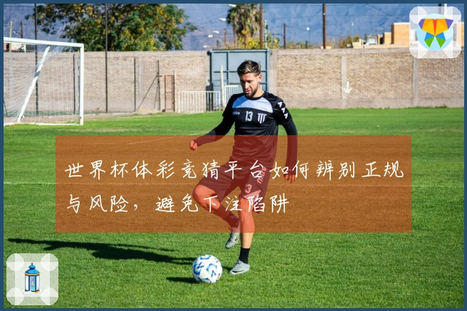 世界杯体彩竞猜平台如何辨别正规与风险，避免下注陷阱