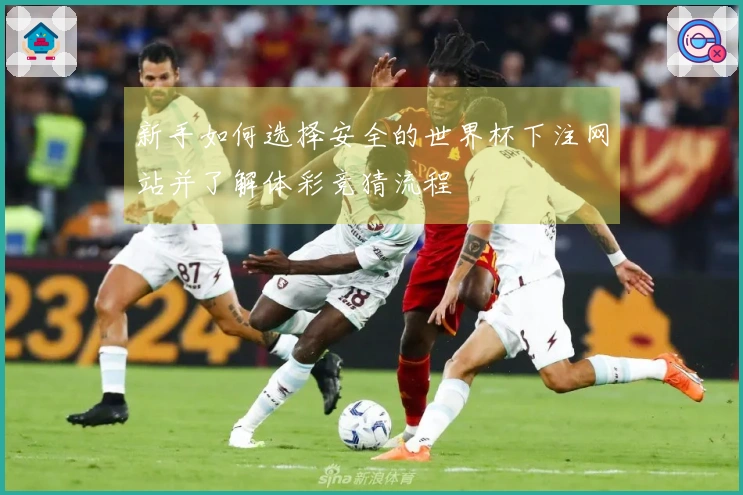 新手如何选择安全的世界杯下注网站并了解体彩竞猜流程