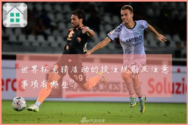 世界杯竞猜活动的投注规则及注意事项有哪些？