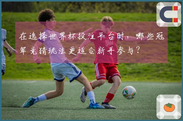 在选择世界杯投注平台时，哪些冠军竞猜玩法更适合新手参与？