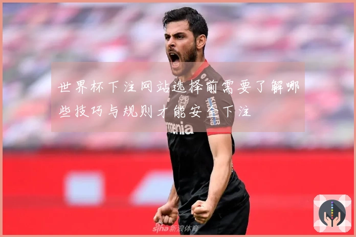 世界杯下注网站选择前需要了解哪些技巧与规则才能安全下注