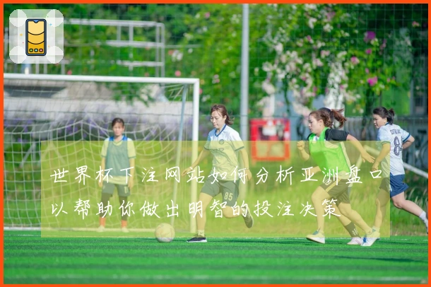 世界杯下注网站如何分析亚洲盘口以帮助你做出明智的投注决策