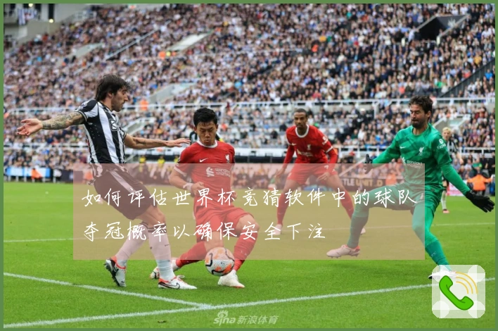 如何评估世界杯竞猜软件中的球队夺冠概率以确保安全下注