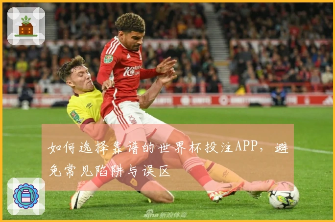 如何选择靠谱的世界杯投注APP，避免常见陷阱与误区