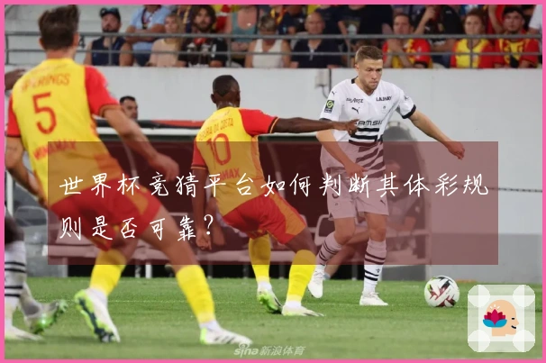 世界杯竞猜平台如何判断其体彩规则是否可靠？