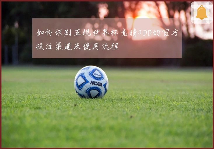 如何识别正规世界杯竞猜app的官方投注渠道及使用流程