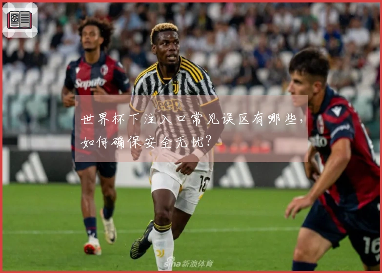 世界杯下注入口常见误区有哪些，如何确保安全无忧？