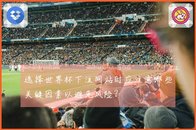选择世界杯下注网站时应注意哪些关键因素以避免风险？