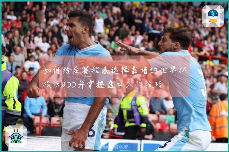 如何结合赛程表选择靠谱的世界杯投注app并掌握盘口入门技巧