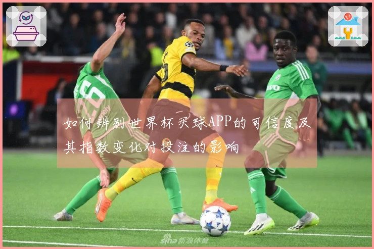 如何辨别世界杯买球APP的可信度及其指数变化对投注的影响