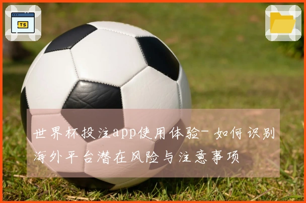 世界杯投注app使用体验- 如何识别海外平台潜在风险与注意事项