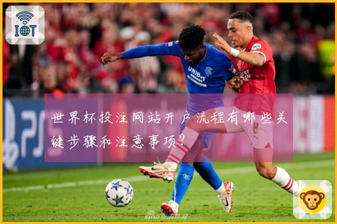 世界杯投注网站开户流程有哪些关键步骤和注意事项？
