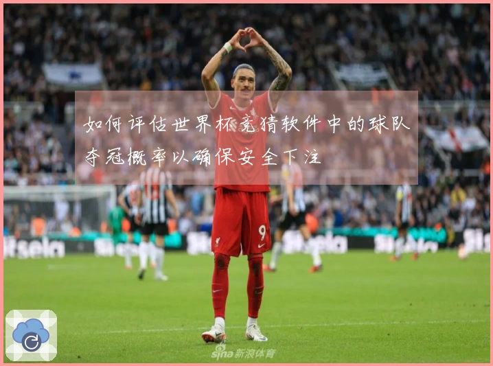 如何评估世界杯竞猜软件中的球队夺冠概率以确保安全下注