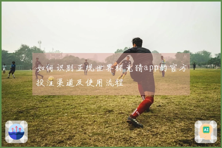 如何识别正规世界杯竞猜app的官方投注渠道及使用流程