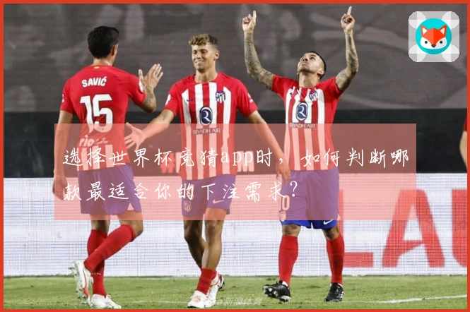 选择世界杯竞猜app时，如何判断哪款最适合你的下注需求？