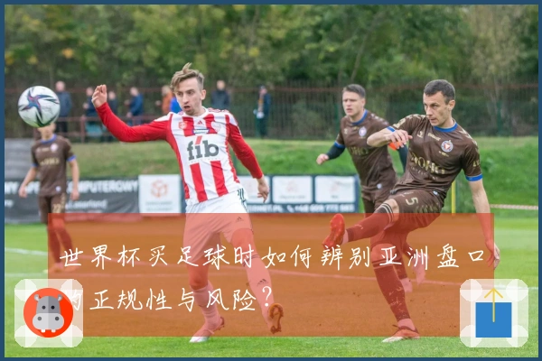 世界杯买足球时如何辨别亚洲盘口的正规性与风险？