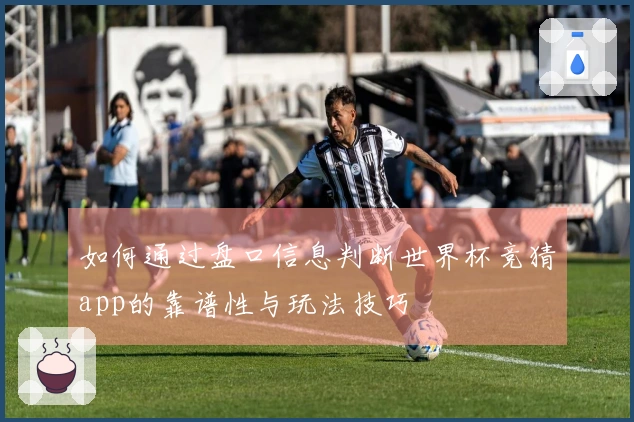 如何通过盘口信息判断世界杯竞猜app的靠谱性与玩法技巧