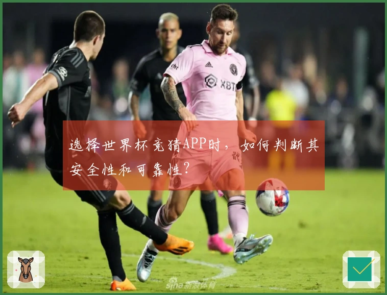 选择世界杯竞猜APP时，如何判断其安全性和可靠性？