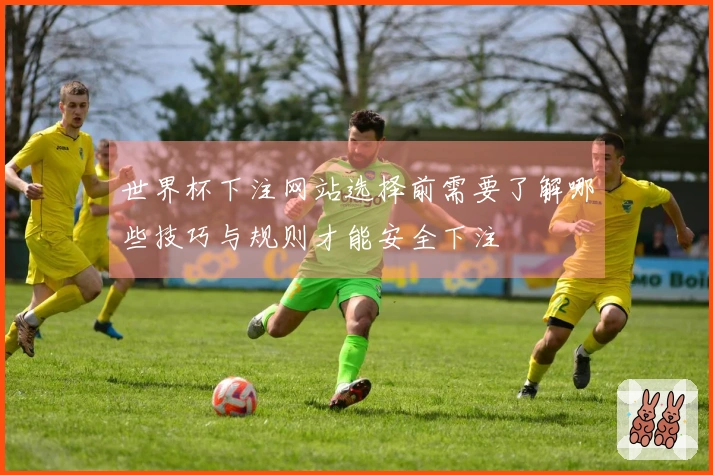 世界杯下注网站选择前需要了解哪些技巧与规则才能安全下注