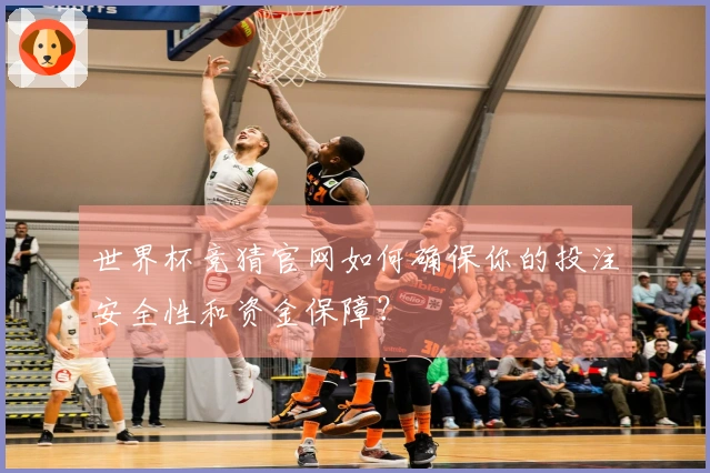 世界杯竞猜官网如何确保你的投注安全性和资金保障？