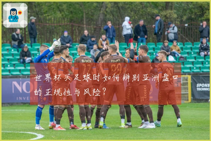 世界杯买足球时如何辨别亚洲盘口的正规性与风险？