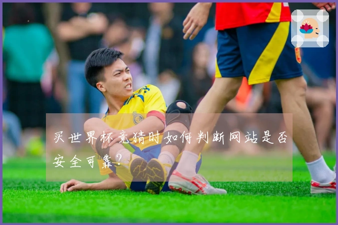 买世界杯竞猜时如何判断网站是否安全可靠？